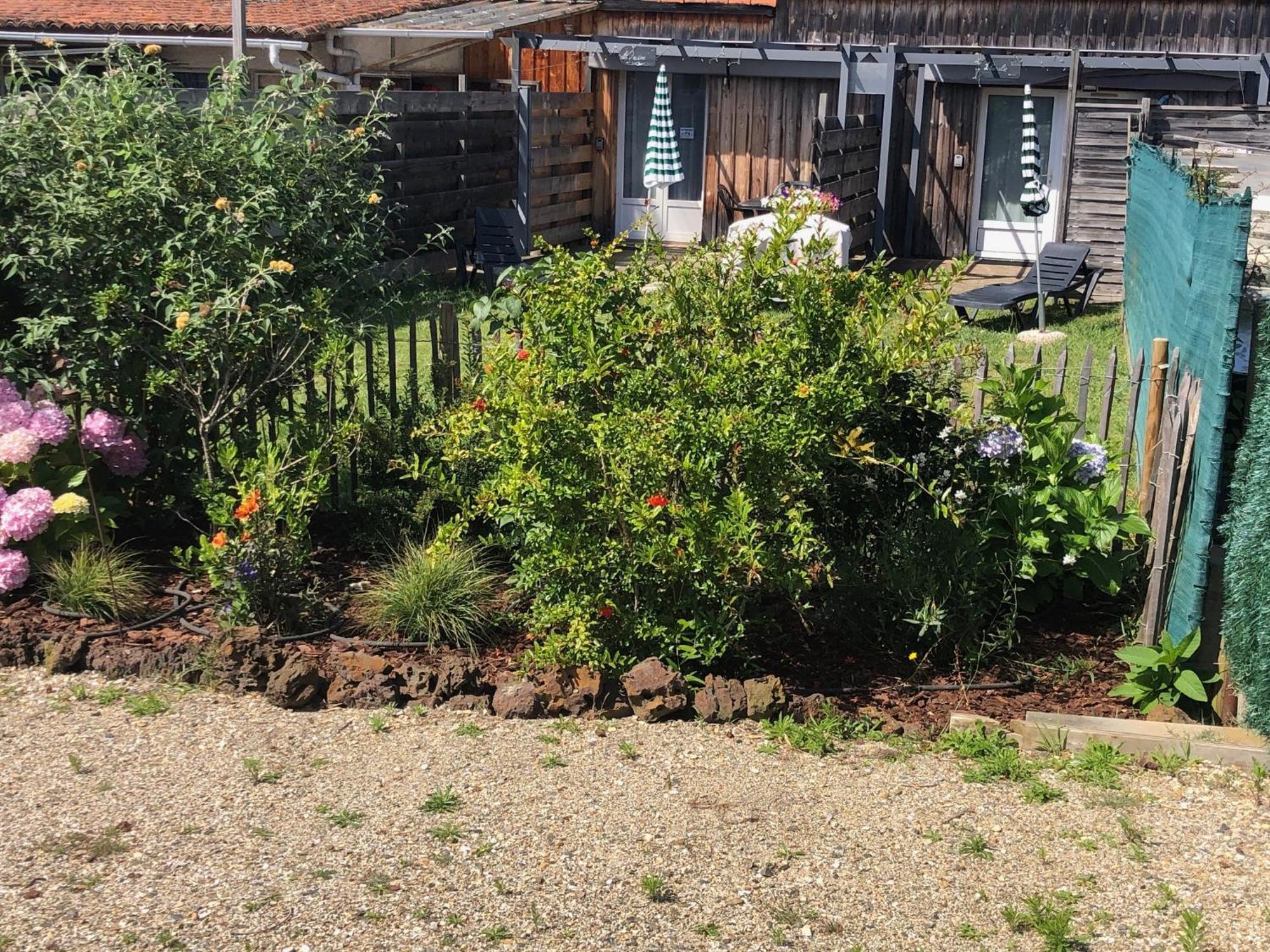 Les Logis D'Argent Studio Independant Parking Entree Autonome Linge De Lit Et Serviettes Wifi Fibre Tv Connectee Mimizan-Plage Exterior foto
